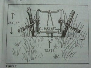 bodygrippingtrap