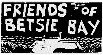 friends of betsie bay logo