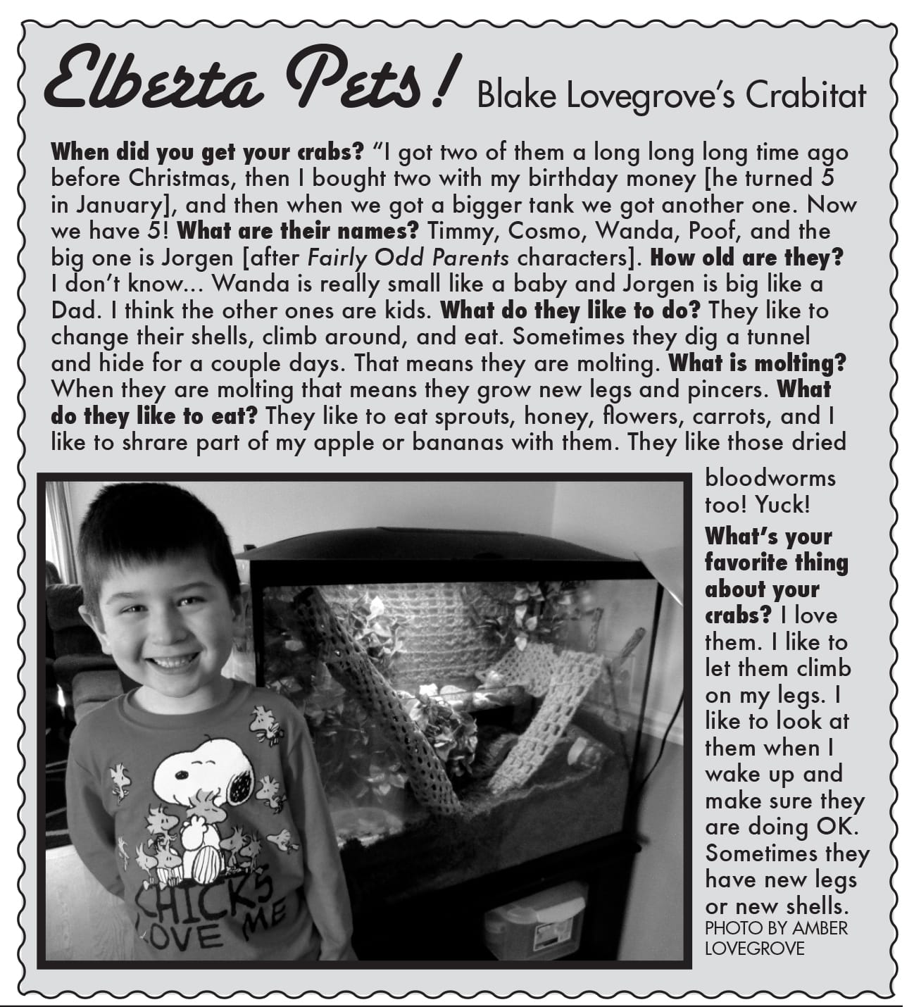 Newspaper