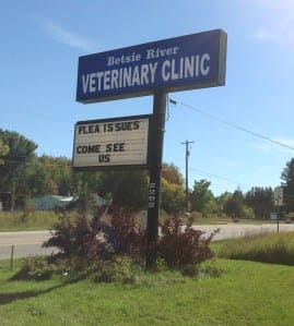 Betsie Vet Fleas