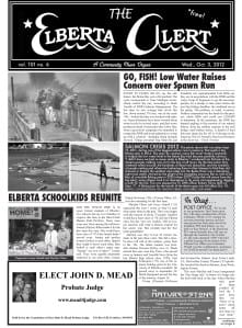 Newspaper