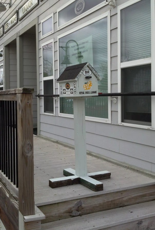 Little Free Library on the Conundrum porch, November 2013.