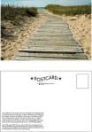 Elberta Postcard Summer 13 Beach Boardwalk thumbnail