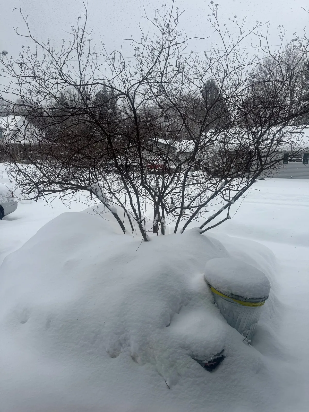 Trivia Snowed Out