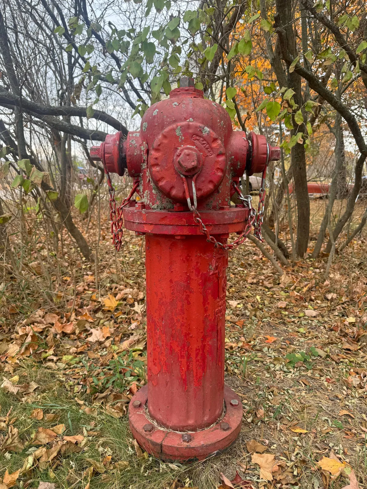 The Flushing of the Hydrants