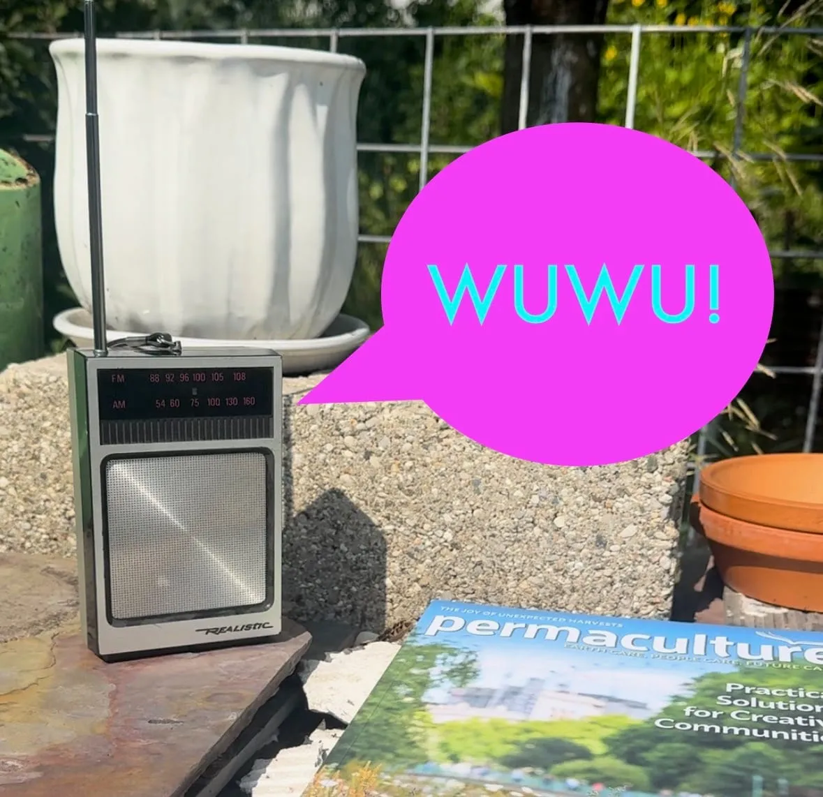 WUWU This Week: Some Program Notes