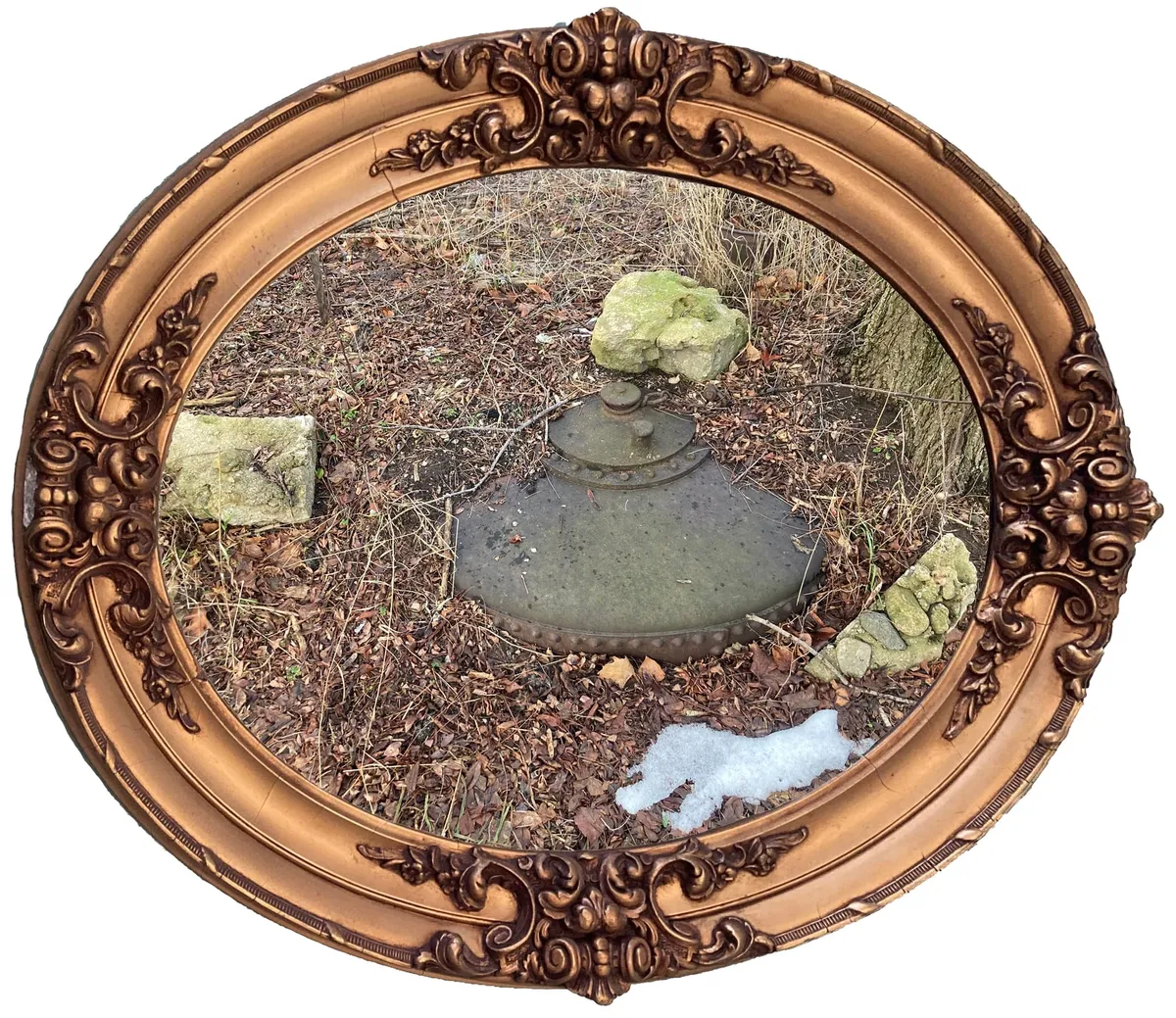 Mystery Photo of the Week