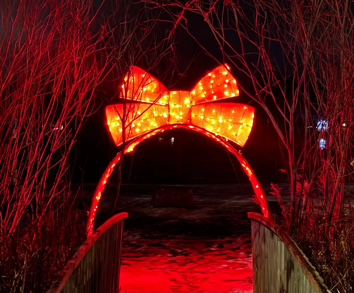 Bright Lights, Small Village