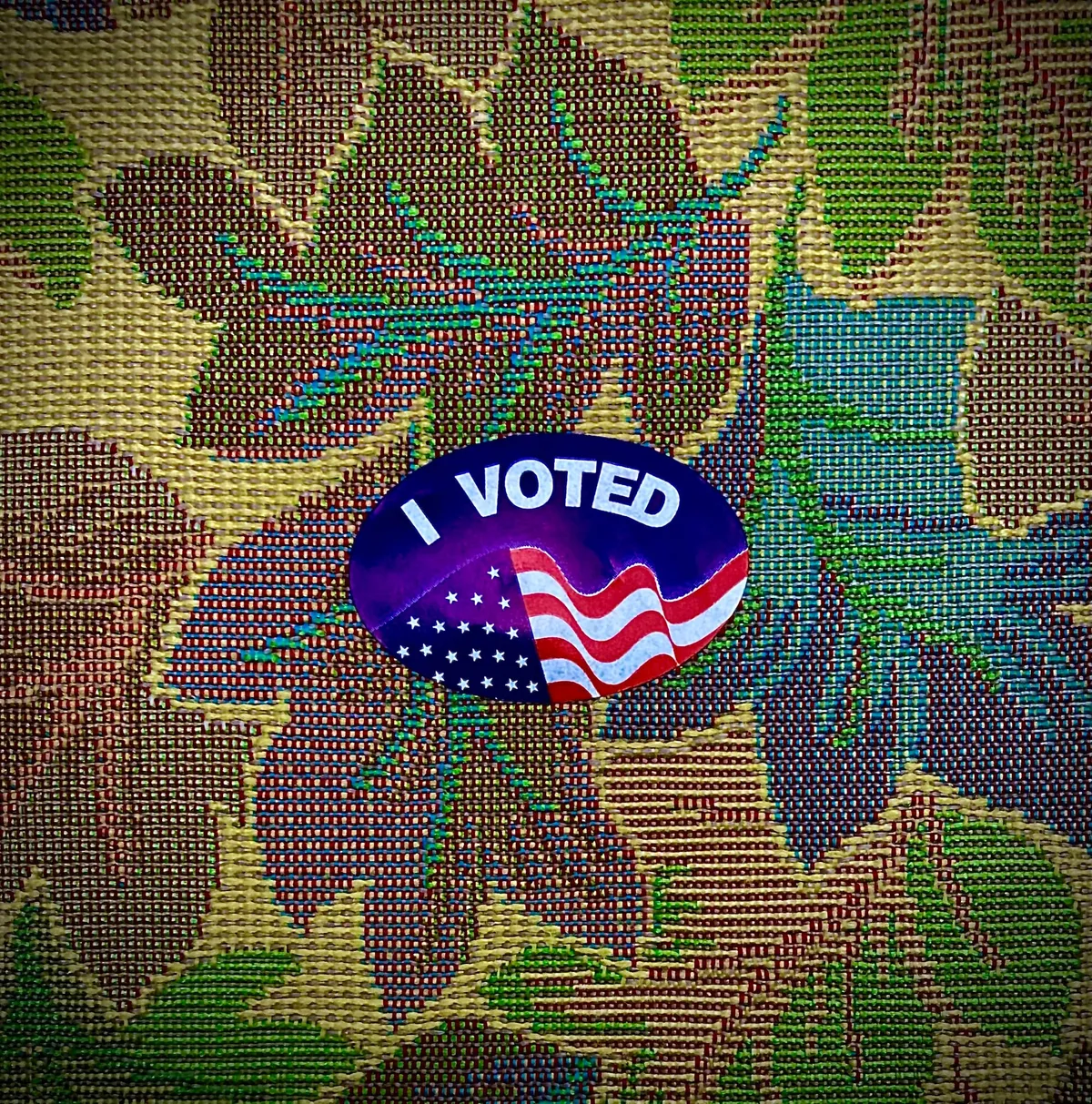 Deeply Local Presidential Primary Results