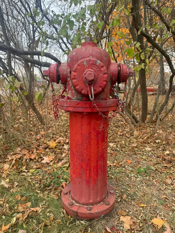 The Flushing of the Hydrants