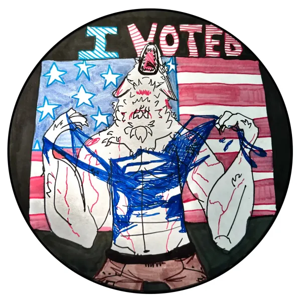 Write-In Candidacy for Village Trustee