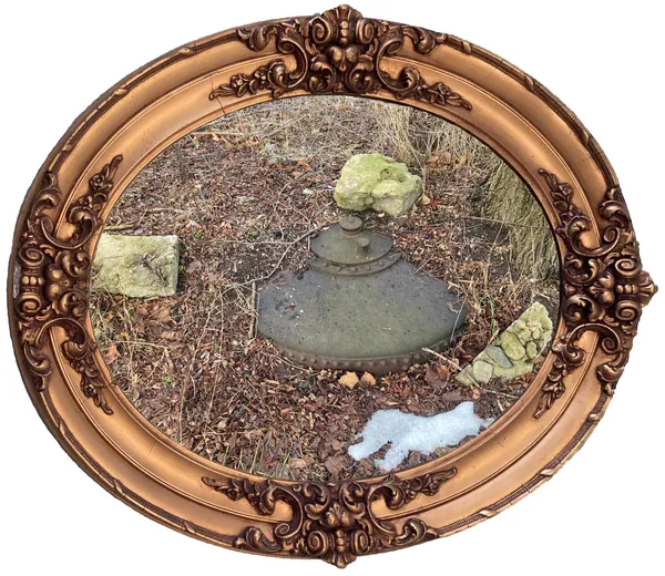 Mystery Photo of the Week