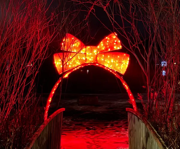 Bright Lights, Small Village