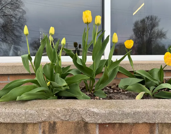 A Proper Airing: May Calendar Mini Blast