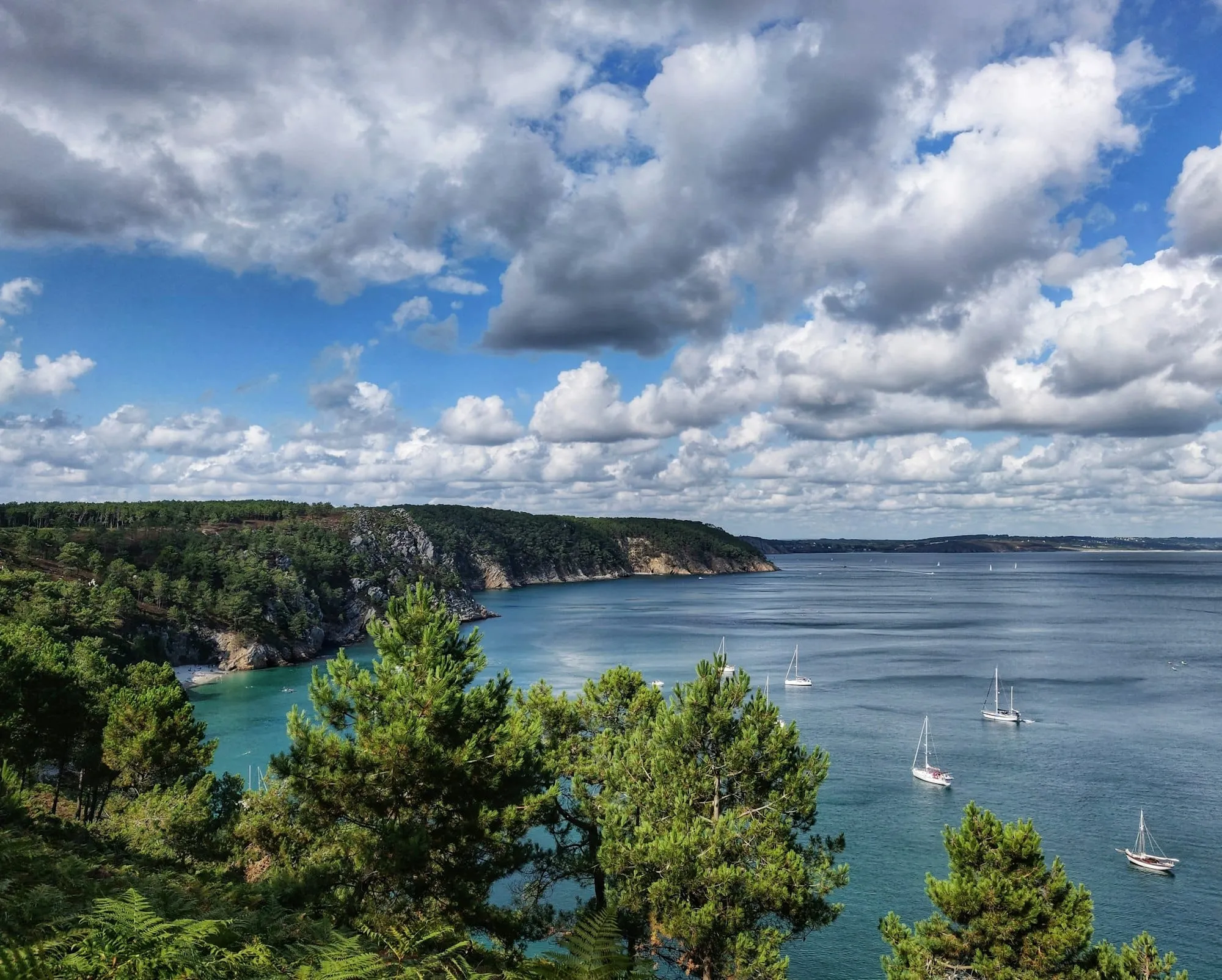10 Raisons d'Investir à Crozon : Le Guide Ultime de l'Investissement Locatif