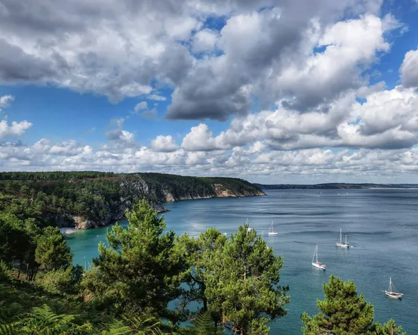 10 Raisons d'Investir à Crozon : Le Guide Ultime de l'Investissement Locatif