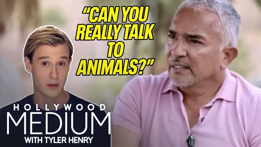 Tyler Henry Makes Rebel Wilson Cry & Connects Cesar Millan To  Daddy    Hollywood Medium   E!
