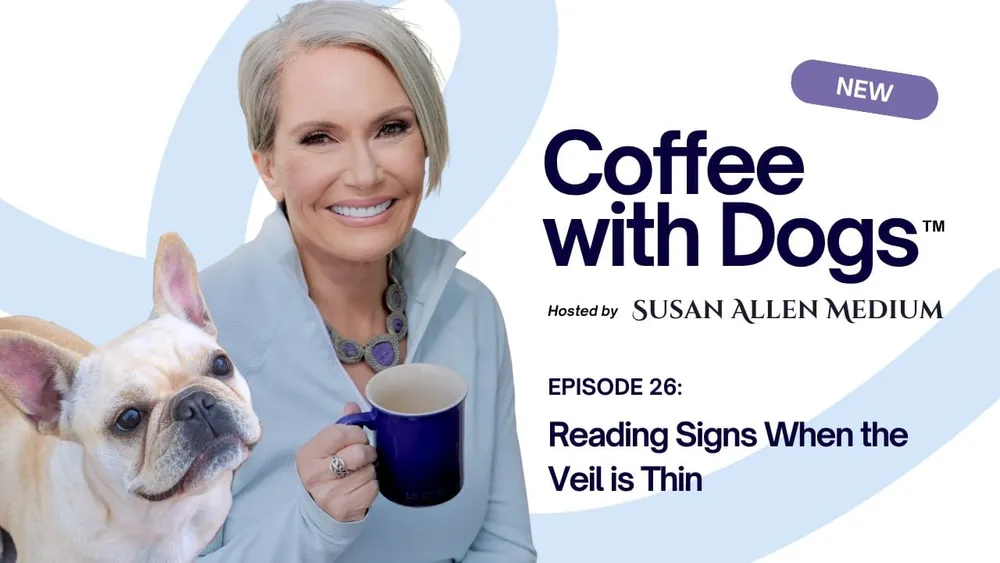 Reading Signs When the Veil Is Thin with Susan Allen