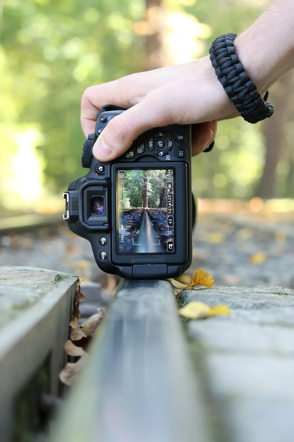 Learning to See Before Pressing the Shutter