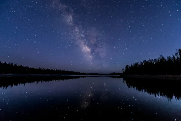 Silhouette of trees near a body of water under a star-filled night sky.