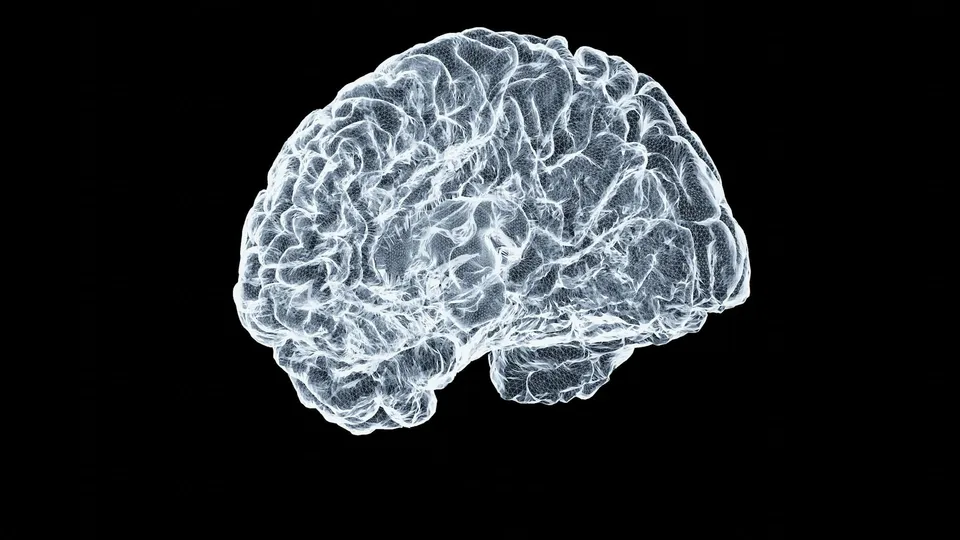 Human brain shown in close-up detail against a black background.