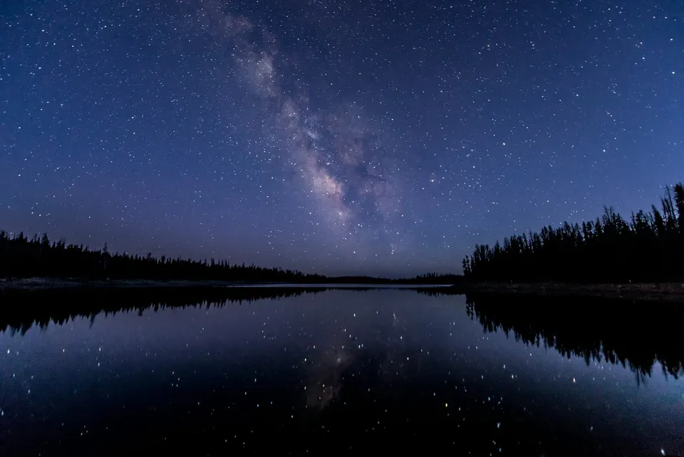 Silhouette of trees near a body of water under a star-filled night sky.