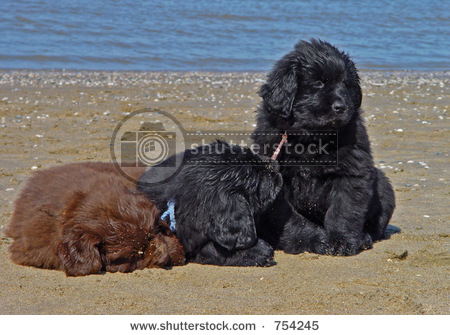 060501132915198100.jpg 060501132915198100.jpg