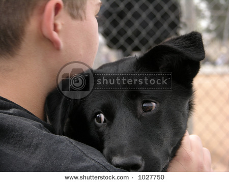 1134711410693361.jpg 1134711410693361.jpg