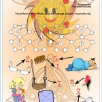 Փեթակ Հանելուկ -1-