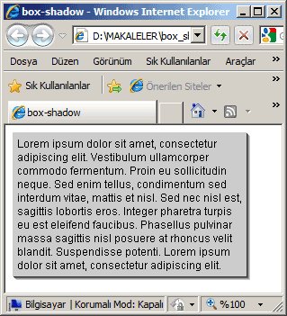 ie gölgeli kutu