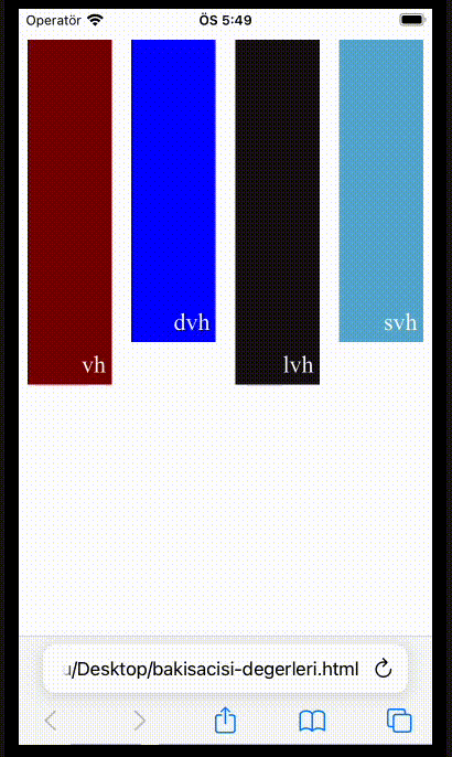 Bakış alanı değerleri