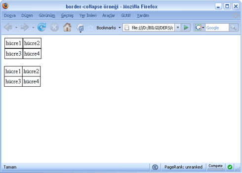 border-collapse örneği