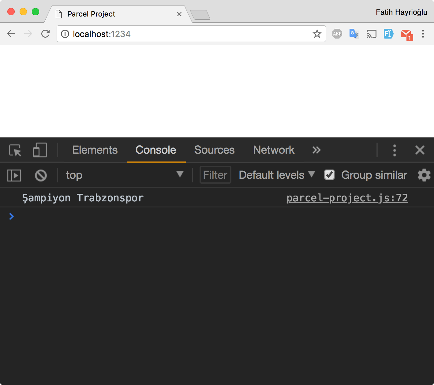 parceljs ilk deneme chrome sonuç