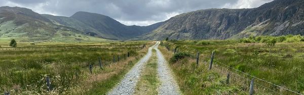 The Road to Recovery