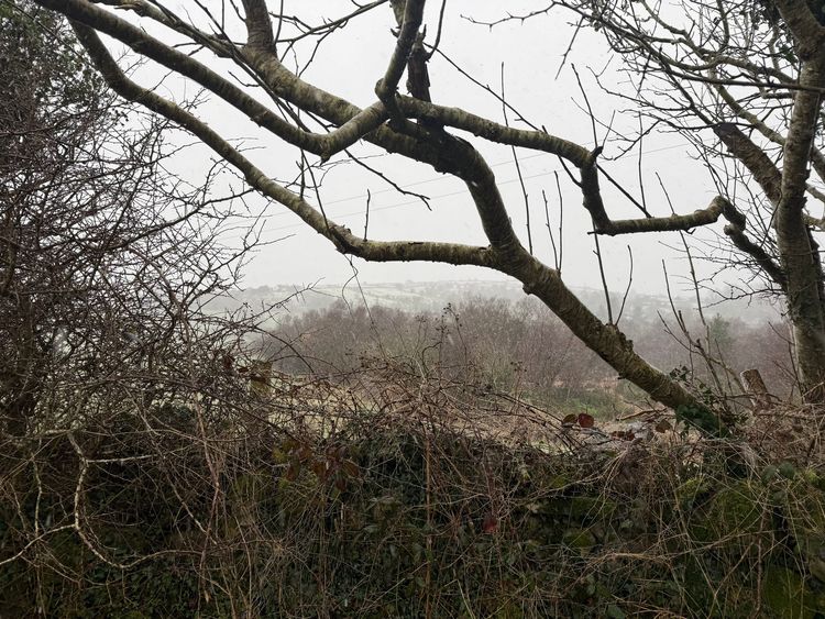 February: A Month in Review