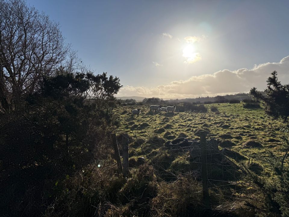 A Moment of Sunshine