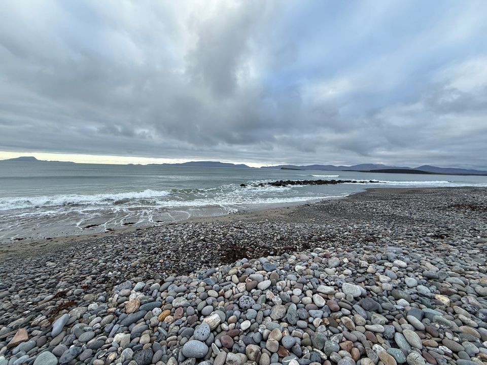 January: a month in review.