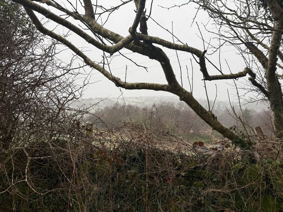 February: A Month in Review