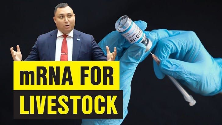 Keeping the B*stards Honest-Senators Babet and Antic asking the hard questions...and getting soft answers