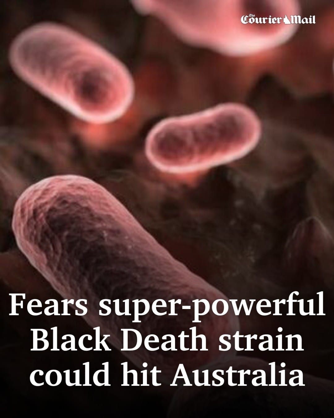 Make sure the littlies aren't able to see this post because it's porn - fear porn, that is!