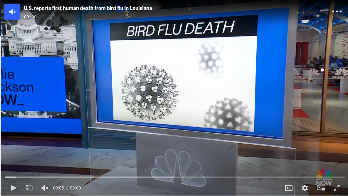The playbook is being rerun. A person who is over 65 with multiple underlying health conditions supposedly died from bird flu.