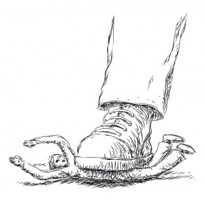 Crisis Alert – Parents continue to make informed health choices – Australian Senate says they must be stopped