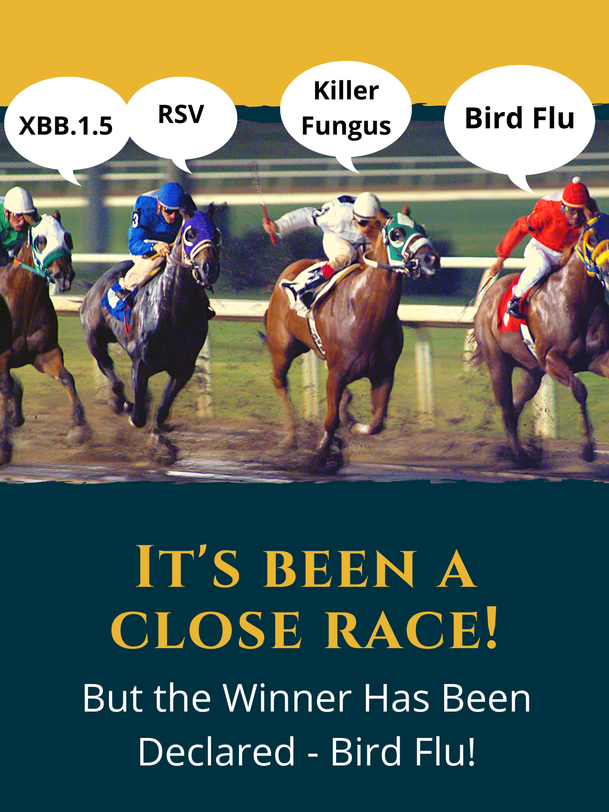 After a lot of horse trading, the winner appears to have been declared...