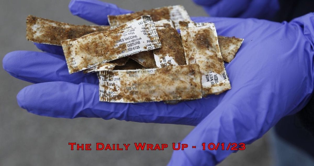 Latest News: A compilation of some of the top stories in the world of vaccination and health freedom+