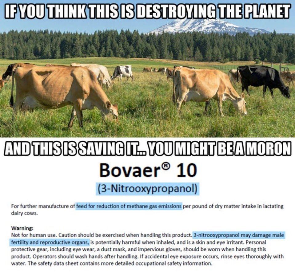 Breaking Alert! If you buy meat at Coles, you might want to reconsider