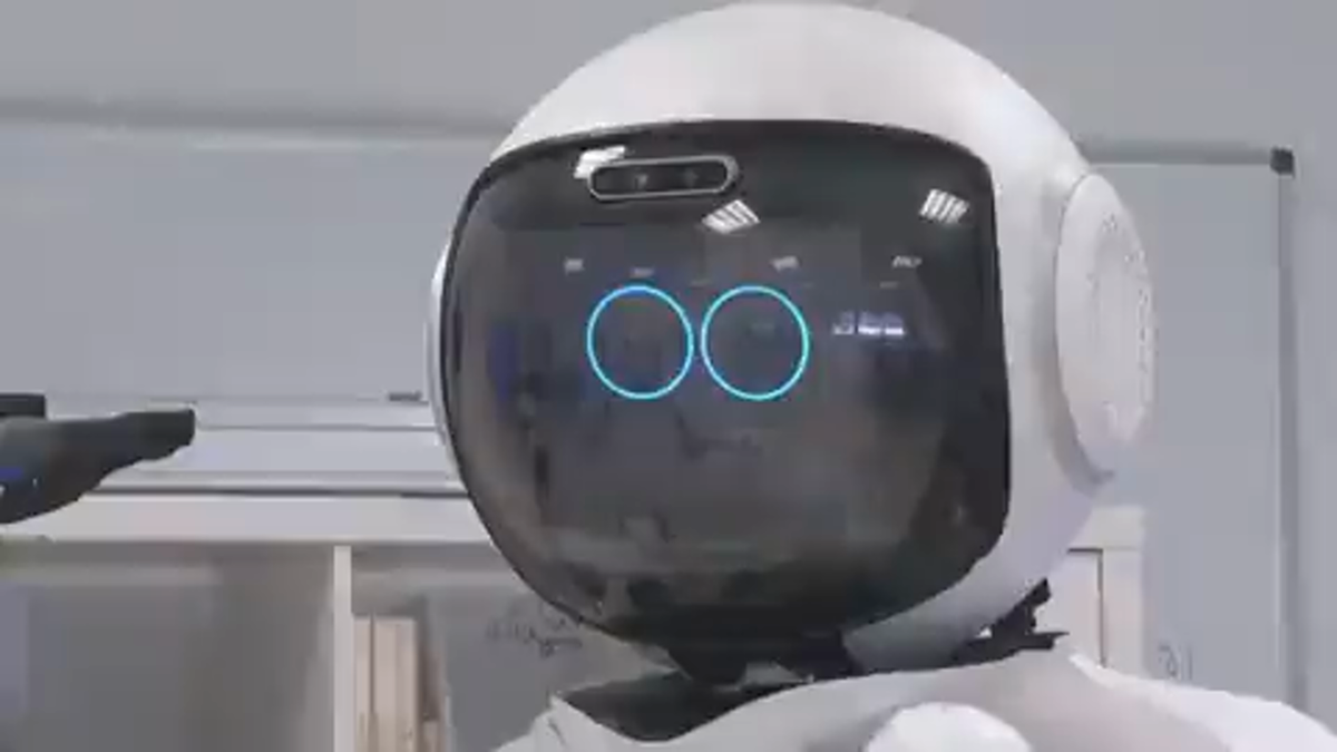 We have seen the WEF Future and it is robotic