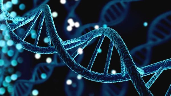 Please try to attend this online hearing tomorrow - link in the article below