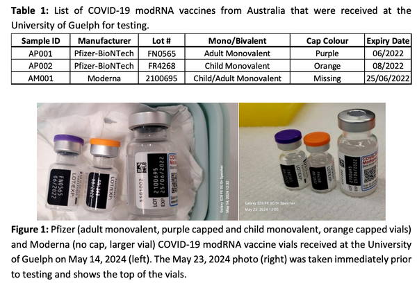 My letter to the Ballina Shire Council regarding DNA contamination of COVID jabs