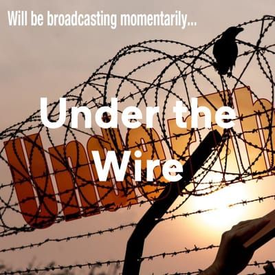 Under the Wire Episode 113 - Interview with Dr. Catherine Fyans