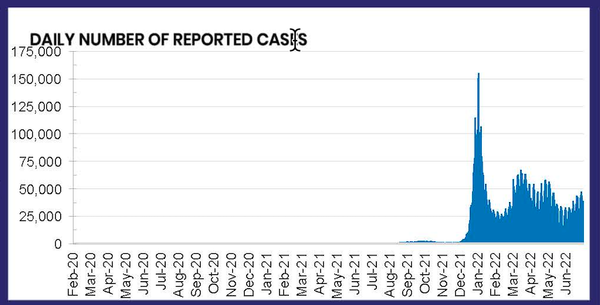 Why are we taking medical advice from corrupt globalists?